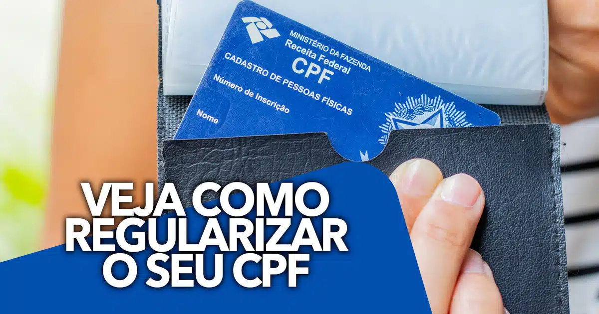 Consultoria Especializada em Regularização  de CPF e IRPF