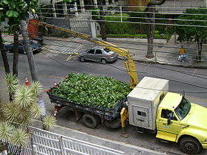 “Locação de Caminhão Munck Itapevi” Thais, 11-9-4774-8786