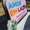 Amor em Laços – Laços da Vivi | Artesanato | Tiaras | Laços Personalizados em Nova Santa Rita
