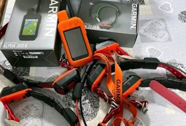 Novos dispositivos Garmin Alpha 100, 200, 300, PDAs/ Garmin Astro 64s, 320, 430, 900 (dispositivos portáteis) e coleiras TT 15 MINI, etc.