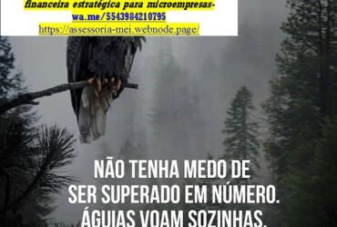 Consultoria Cianorte Microempresa, Contador e Imposto de renda Imposto de renda