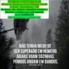 Declaração Anual MEI Serviços Contábeis MinasMei