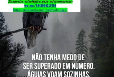 Declaração Anual MEI Serviços Contábeis MinasMei