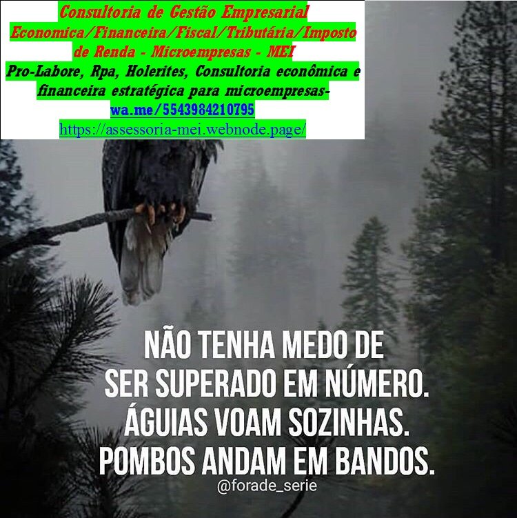 Declaração Anual MEI Serviços Contábeis MinasMei