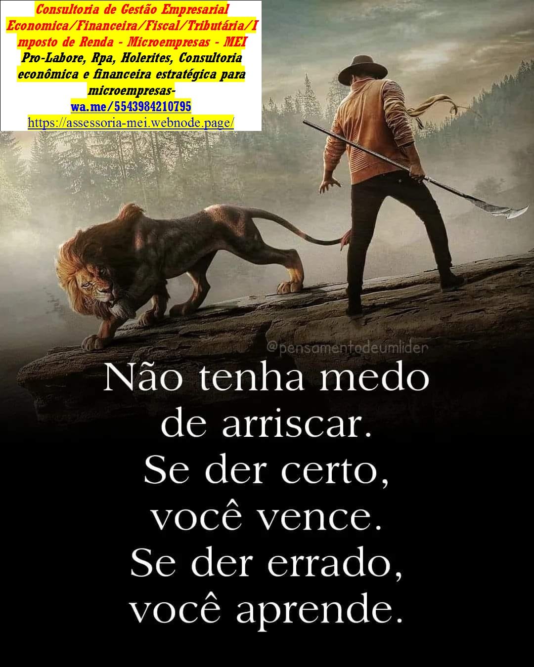 Consultoria Av Rio de Janeiro Microempresa, Contador e Imposto de renda