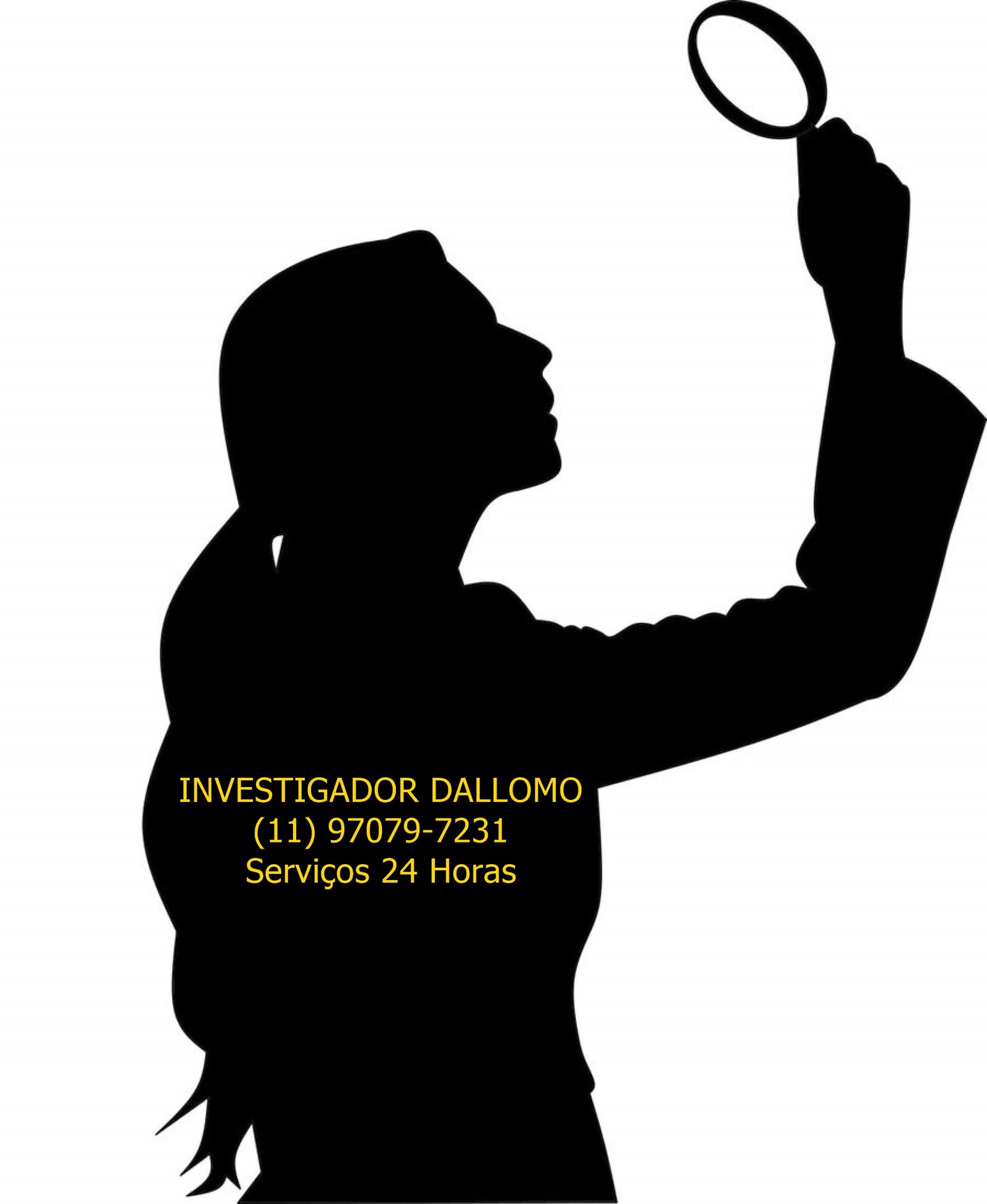 Investigador Dallomo Serviços 24 Horas